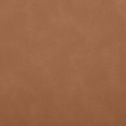 Ellis Cane And Vegan Leather Upholstered Dining Chair in Cognac, Set of 2 - 88047Cognac-C