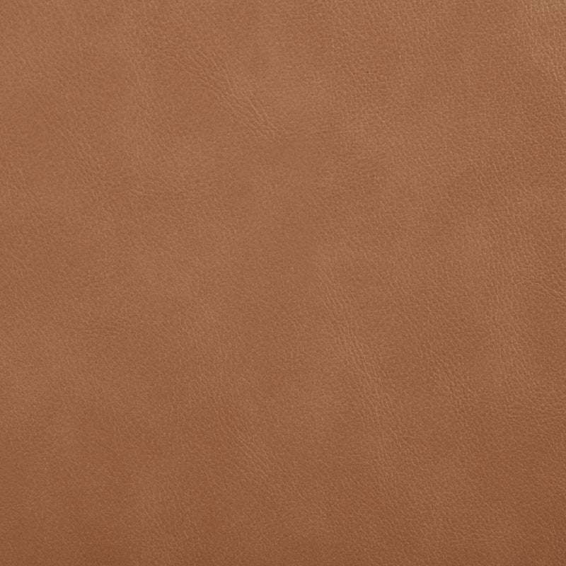 Ellis Cane And Vegan Leather Upholstered Dining Chair in Cognac, Set of 2 - 88047Cognac-C