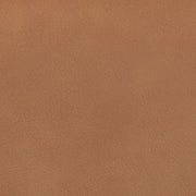Ellis Cane And Vegan Leather Upholstered Dining Chair in Cognac, Set of 2 - 88050Cognac-C