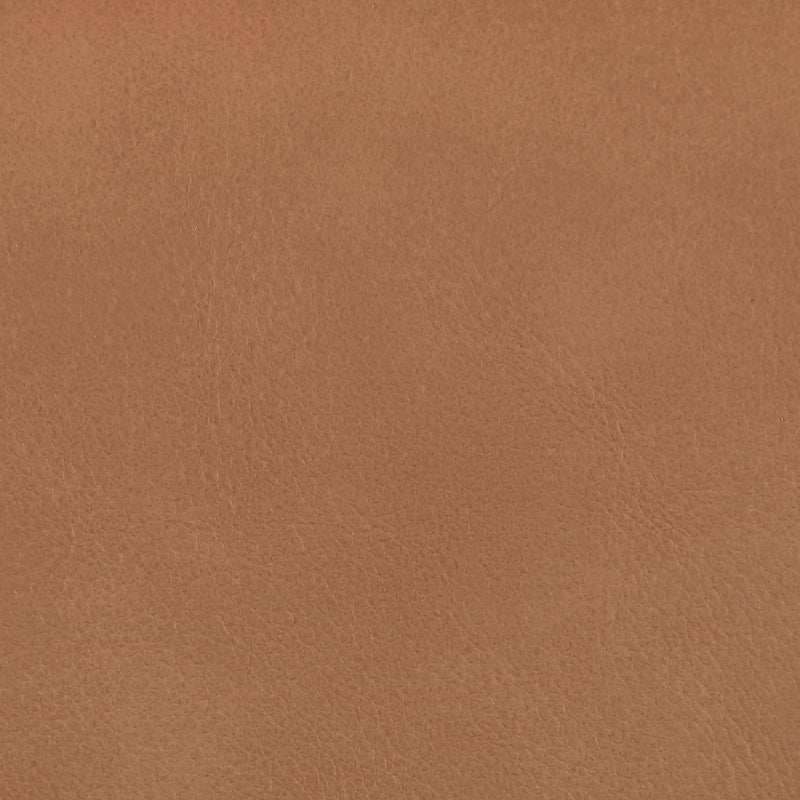 Ellis Cane And Vegan Leather Upholstered Dining Chair in Cognac, Set of 2 - 88050Cognac-C