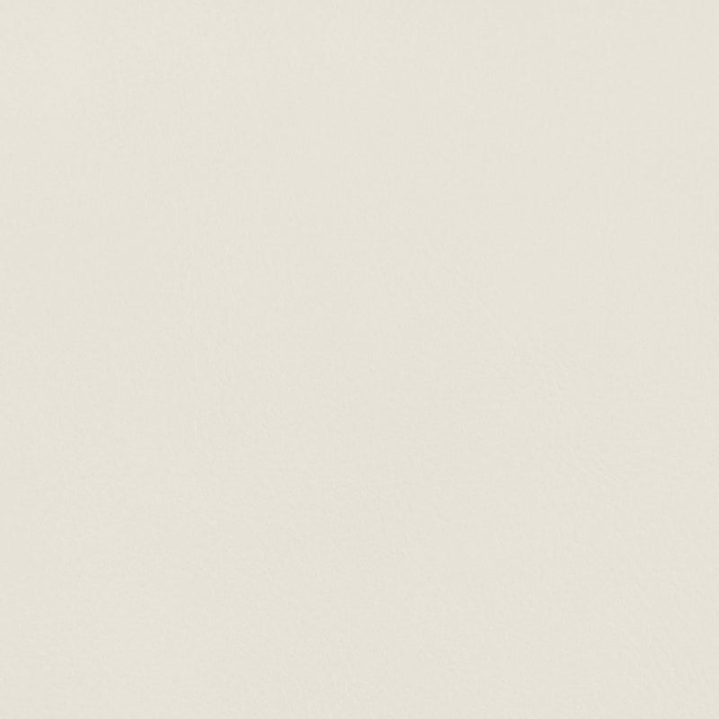 Ellis Cane And Vegan Leather Upholstered Dining Chair in Cream, Set of 2 - 88050Cream-C