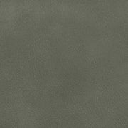 Ellis Cane And Vegan Leather Upholstered Dining Chair in Green, Set of 2 - 88050Green-C