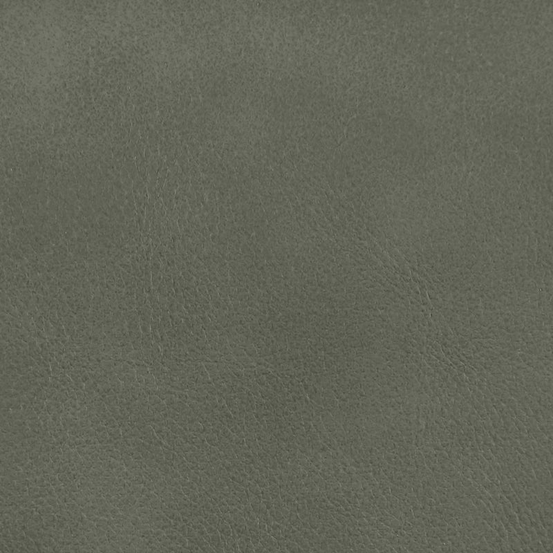 Ellis Cane And Vegan Leather Upholstered Dining Chair in Green, Set of 2 - 88050Green-C