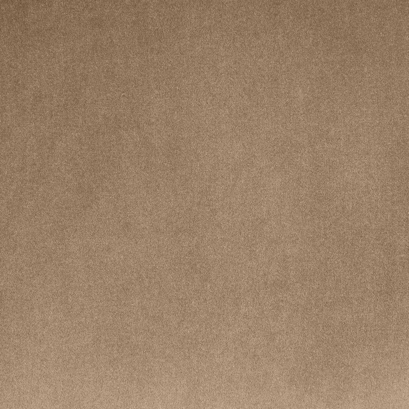 Emery Velvet Upholstered Accent Chair in Beige - 44044Beige-C