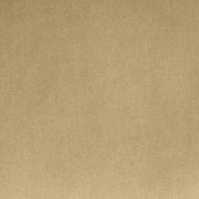 Emery Velvet Upholstered Accent Chair in Camel - 44044Camel-C