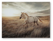 Errolville Multi Wall Art - A8000489