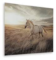 Errolville Multi Wall Art - A8000489