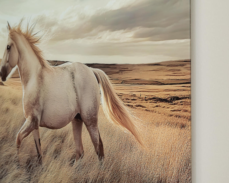 Errolville Multi Wall Art - A8000489