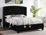 Eva Black Upholstered Queen Bed - Gate FurnitureQueen Bed