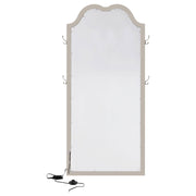 Evangeline Full Length LED Light Floor Mirror Silver Oak - 223400