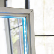 Evesen Champagne Floor Standing Mirror/Storage - A8010380