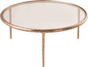 Evren Glass Top And Aluminum Base Coffee Table in Clear - 66028-CT
