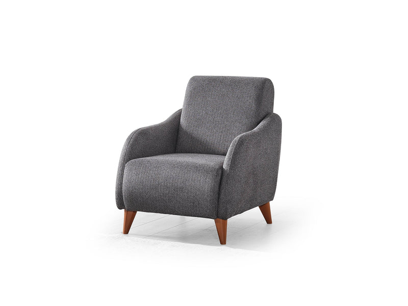Fabia 3-pieces (Sofa & Loveseat & Chair) Livingroom in Anthracite - 200-ELIF-FAB-A411-321