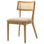 Fabra Cane Back Side Chair Honey Wheat (Set of 2) - 190182