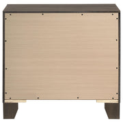 Farre 2-drawer Nightstand Bedside Table Dark Brown - 225322