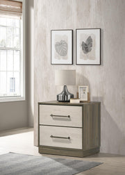 Fenwick 2-drawer Nightstand Bedside Table Grey Oak - 224982