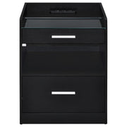 Furda 2-drawer LED Nightstand Bedside Table with Speaker Black Ash - 306132BLK