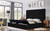 GALLERIA BLACK KING - GALLERIA BLACK KING