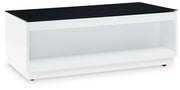 Gardoni White/Black Coffee Table - T756-1