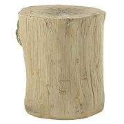 Gene Accent Table - AC03783
