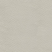 Genoa Coconut Queen Sofa Sleeper - 4770439