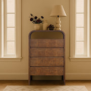 Giada Solid Wood And Veneer Chest in Brown - 843Brown-CH