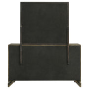 Gran Park 6-drawer Dresser and Mirror Dark Cocoa - 224933M