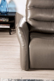 Granucci Gray Sofa - FM90007GY-SF-PM-PK