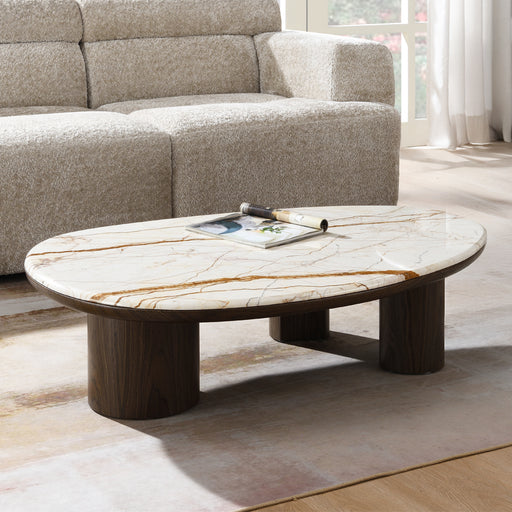 Haidar Coffee Table w/Natural Marble - LV04565