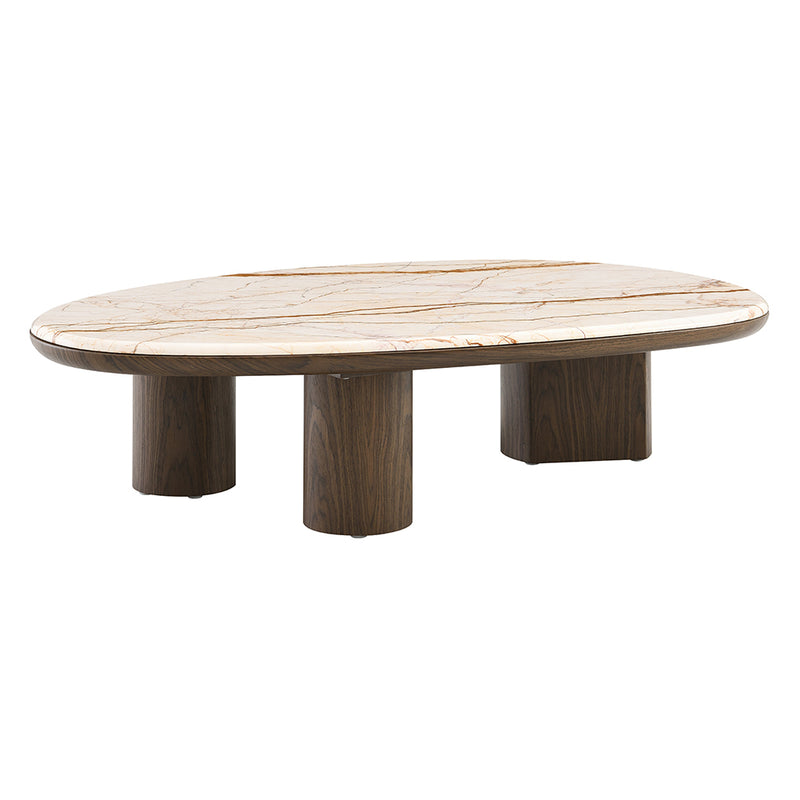Haidar Coffee Table w/Natural Marble - LV04565