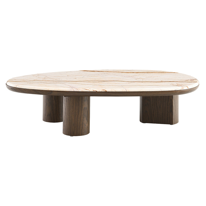 Haidar Coffee Table w/Natural Marble - LV04565