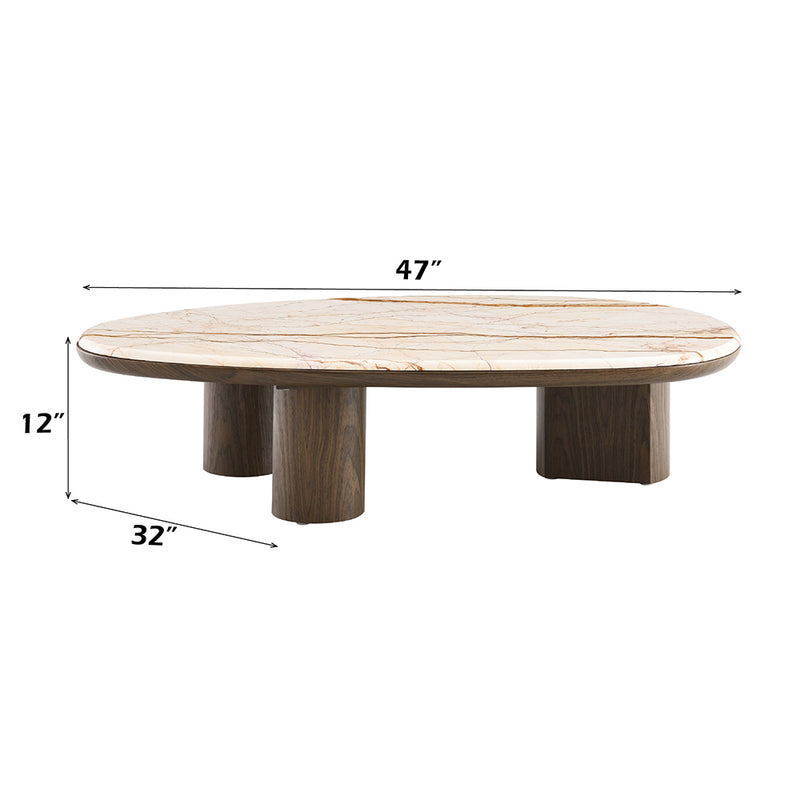 Haidar Coffee Table w/Natural Marble - LV04565