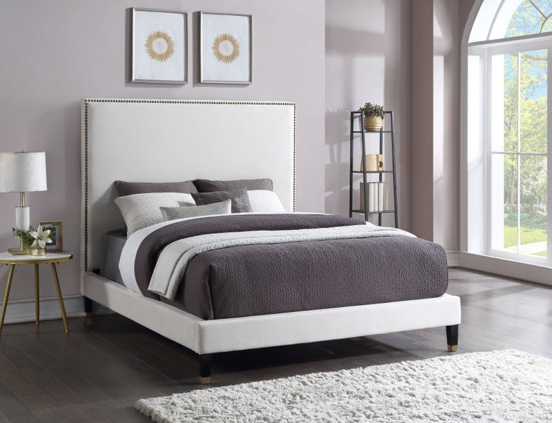 Harlie Velvet Queen Bed Cream - Gate FurnitureQueen Bed