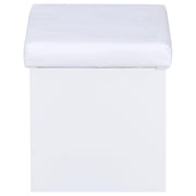 Harvey Vanity Set with Lift-Top Stool White - 300290
