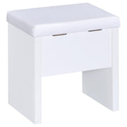 Harvey Vanity Set with Lift-Top Stool White - 300290