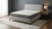 Hayes Queen Firm Tight Top Hybrid Mattress White - 350170Q