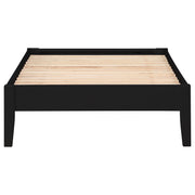 Hounslow Twin Universal Platform Bed Black - 306129T