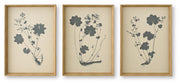 Huddwick Linen/Black Wall Art (Set of 3) - A8000559