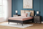 iKidz Coral Twin Mattress and Pillow - Gate FurnitureTwin Mattress and Pillow