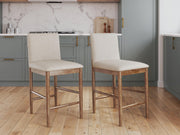 Isanti Light Brown Counter Height Barstool, Set of 2 - D752-124