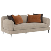 Jade 2-piece Chenille Upholstered Sofa Set Latte - 509411-S2