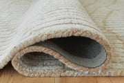 Jaseena Beige/Tan 5' x 7' Area Rug - R407722
