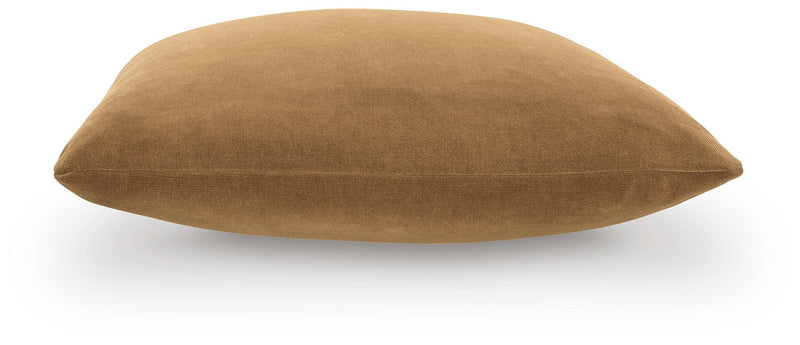 Jaxkins Camel Pillow (Set of 4) - A1001139