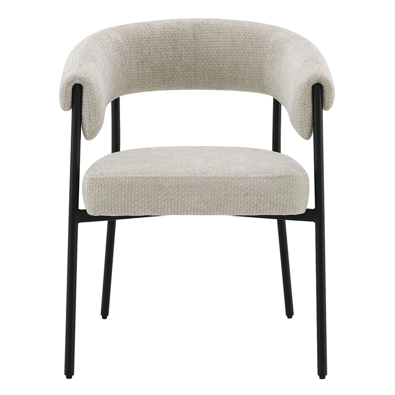 Jirina Arm Chair (Set-2) - DN03676