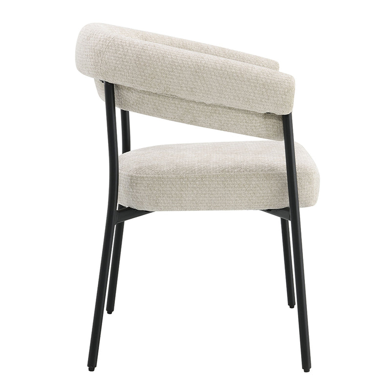 Jirina Arm Chair (Set-2) - DN03676