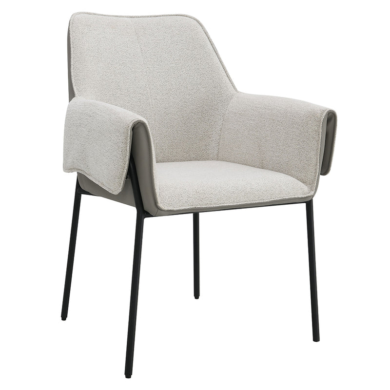 Jirina Arm Chair (Set-2) - DN03678