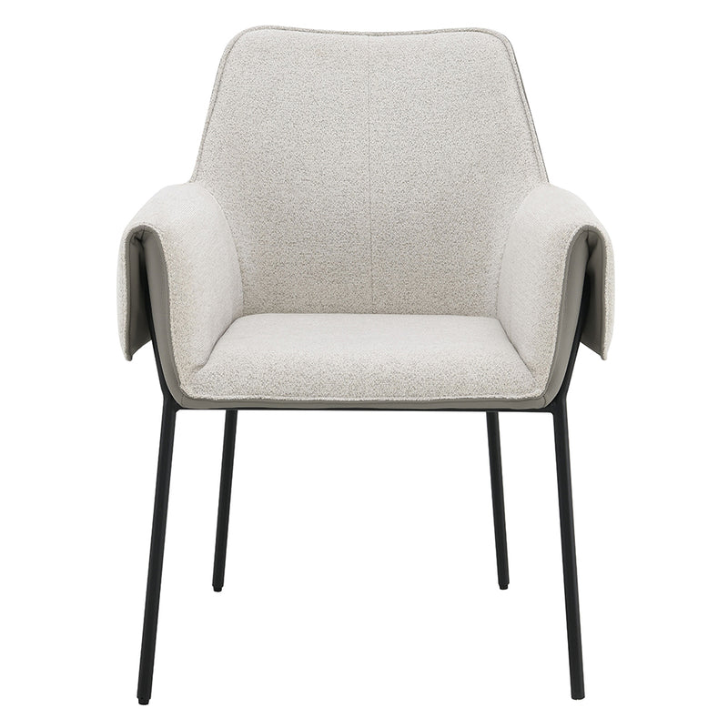Jirina Arm Chair (Set-2) - DN03678