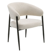 Jirina Arm Chair (Set-2) - DN03679