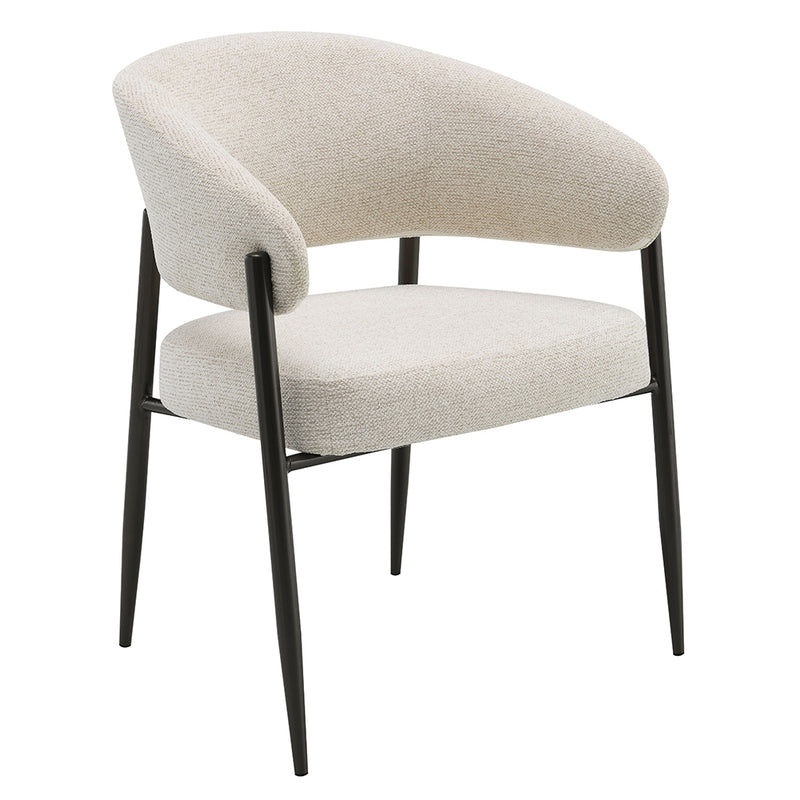 Jirina Arm Chair (Set-2) - DN03679