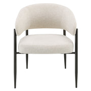 Jirina Arm Chair (Set-2) - DN03679